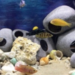 물고기집 복어키우기 가재키우기 테마리움 거북이어항꾸미기 : OtL