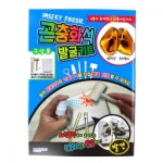 곤충화석 발굴 키트 2개입 Z60 : 정식농원