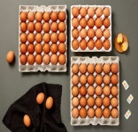 무항생제 동물복지 방사유정란40구 계란 달걀 난각번호2번 해썹 유정란 한길양계 : 한길유정란