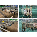 국내산 흑염소 고기 수육용 탕용 구이용 : 에코팜 영농조합법인