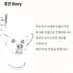 강아지 애견 수제 습식 화식 자연식 건강식 사료 50g : 효견