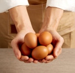 무항생제 동물복지 방사유정란40구 계란 달걀 난각번호2번 해썹 유정란 한길양계 : 한길유정란