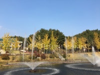 부산출발 청주 청남대 대청호 가을국화축제 당일버스투어 : 서니여행사