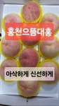 26년 홍천으뜸 대홍복숭아 4Kg 최고품질 농산물 최우수상 농진청 향긋 아삭 신선한 딱딱이 : 수진농장 홍천대홍복숭아