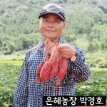 2025년 해남 고구마 생산자협회 은혜농장 박경호농가 밤고구마 : 해남고구마생산자협회