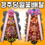 경주 축하화환 개업 예식행사 : 경주 당일꽃배달