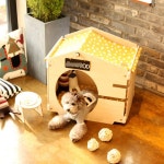 애완동물 천연 자작 나무 헤어볼 장식 사육장 목조 주택 텐트 창고 디자인 : 람보르기니하이브리드