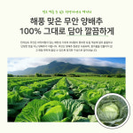 자연연구소 프리미엄 100% 무첨가 양배추환 200g 1+1 2개 : 김정원 자연연구소