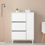 슬림 신발장 정리 미니 대 수납장 케이스 아파트 현관 선반 보관함 : 행운친구