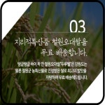 [25년산햅쌀 철원동신미곡] 현미10KG+두루웰철원오대쌀10KG DMZ의 햇쌀가득 : 동신미곡처리장