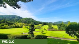 일본/구마모토 시내 다색 골프 25년 10월-26년 3월 2박3박4박패키지 : 수지와함께하는골프여행