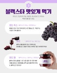 [산지직송] 씨 없는 포도 블랙스타 2kg/3kg : 태영농장 영월김삿갓포도