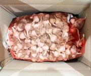 26년 국산 의성마늘 한지형 저장 햇 통 마늘 소, 1kg, 1개 : 문흥 농장