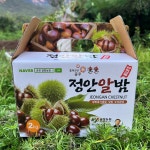 25년 햇 공주밤 옥광밤 칼집 정안 알밤 대보 왕 생율 깐 밤 조각 약단밤 2kg 4kg : 푸달마켓