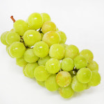 프리미엄 샤인머스켓 2kg (2수) : 농업회사법인 프레베