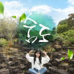 제주 숨도 / 서귀포 석부작 자연 식물원 정원 꽃 포토존 관광지 : 브이패스