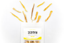 강아지 황태 수제간식 보양식 황태채 100g 대용량 : 견강하개