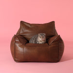 플래지어 톰 미니 기능성 가죽 빈백소파 1인용 싱글 쿠션 반려동물 함께 쇼파 : 플래지어