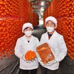 상주곶감 반건시 건시 실속형 선물세트 : 상주으뜸농원곶감