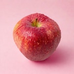 꿀사과 햇사과 유명한곳 청송 문경 안동 얼음골 가정용 선물세트 시나노골드 홍로 감홍 부사 사과 : 쥬시팡