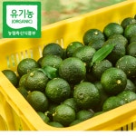 고흥 유기농 청유자 500g, 1kg, 3kg [생산자판매] : 순수유자