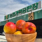 하남 미사 혼합 과일 배달 가락시장 경매 제철 프리미엄 청과세트 정기배송 : 하이과일가게