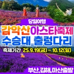 부산출발 삼성투어 거창 감악산 아스타국화축제 수승대 당일여행 : 부산삼성투어