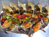 백다원 간장게장(4미~5미) 1.2kg, 1개 : 백다원 간장게장