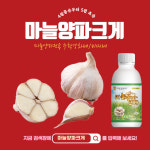 마늘양파크게  250ml 마늘양파 구근비대제 친환경비료 식물영양제 : 흙사랑농자재