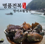 완도 명품 활전복 대 9-10미 1kg [손질솔 증정] : 명품전복영어조합법인