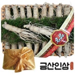 금산인삼도매시장 원수삼대 2채 1.5kg 인삼선물세트 : 금산인삼도매시장