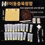 토봉 여왕벌 꿀 양봉 포왕기 세트 자동이충기 자재 : 데일리위드스토어