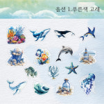 아쿠아월드 빈티지 조개 장식 바다 소재 PET 다꾸 스티커 : 스토어 오늘.