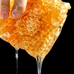 윤채농장 자연밀랍 벌집꿀 600g(용기포함) : 익산시 마을전자상거래지원단