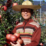 미생물농법 장수사과 승진농장 [부사] 5kg : 장수사과 승진농장