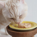 시그니처바이 A/a aa 캔 8개입 고양이 식욕 회복 습식 사료 동물병원 수의사 처방캔 : 시그니처바이 전문몰