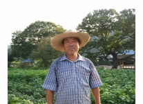 2025년 햇밤 공주밤 정안밤 옥광밤 알밤 1kg : 범안농장