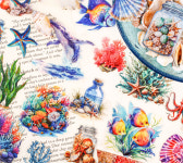 아쿠아월드 빈티지 조개 장식 바다 소재 PET 다꾸 스티커 : 스토어 오늘.