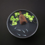 메다카수반 사육통 메다카 키우기 사육상자 : 허니템천국