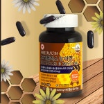 프리미엄 프로폴리스 앤 아연 1,000mg 캐나다산 프로폴리스추출물 활력 90캡슐, 1개 : 주식회사 필즈