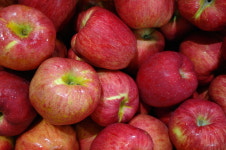 주왕산 털보네 맛있는 부사 햇사과 : 주왕산털보네하늘사과