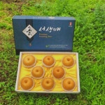 [염포사랑협동조합] 최고 당도 프리미엄 서생배 2025년 황금배 7.5kg(10-12과) : 민생상회