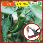국산 원예용결속기 고추 포도 토마토 농작물 지지대 가지 줄기 유인결속 묶는기계 매직그린 : 매직그린