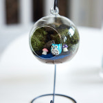 숲의 공기를 담은 유리볼&행잉볼 이끼 키우기 테라리움 만들기 키트 : 실바리움