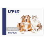 라이펙스 60캡슐 강아지 고양이 췌장 영양제 : 드림펫 동물병원