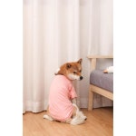 스파조이 개 셔츠 2pcs 소형 대형견 및 고양이 부드럽고 통기성이 좋은 의류 셔츠용 블랭크 소프트 : 리소르