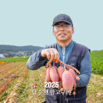 [착한농부] 기영민 무안 황토땅 햇 밤고구마 5kg #이렇게 달수가 : 착한농부상회
