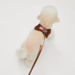 [루이독] 워크 위드 미/ 블러쉬 스웨이드 하네스 Set : 커넥트현대 루이독