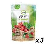 냉동 뉴뜨레 딸기 무가당 이집트산 1kgx3개입 : 리테일닷컴