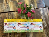 코메틱스 어린이 눈영양제 키즈 근시억제 아이누네프리미엄 3개월분  90포 : 윤리적 건강전문기 코메틱스